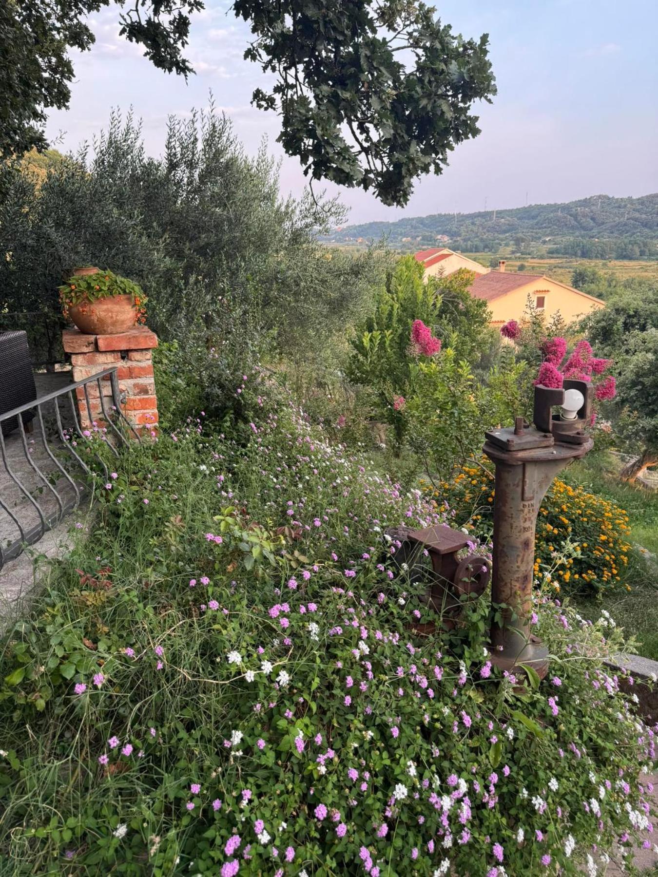 Apartments Dumicic Supetarska Draga Kültér fotó