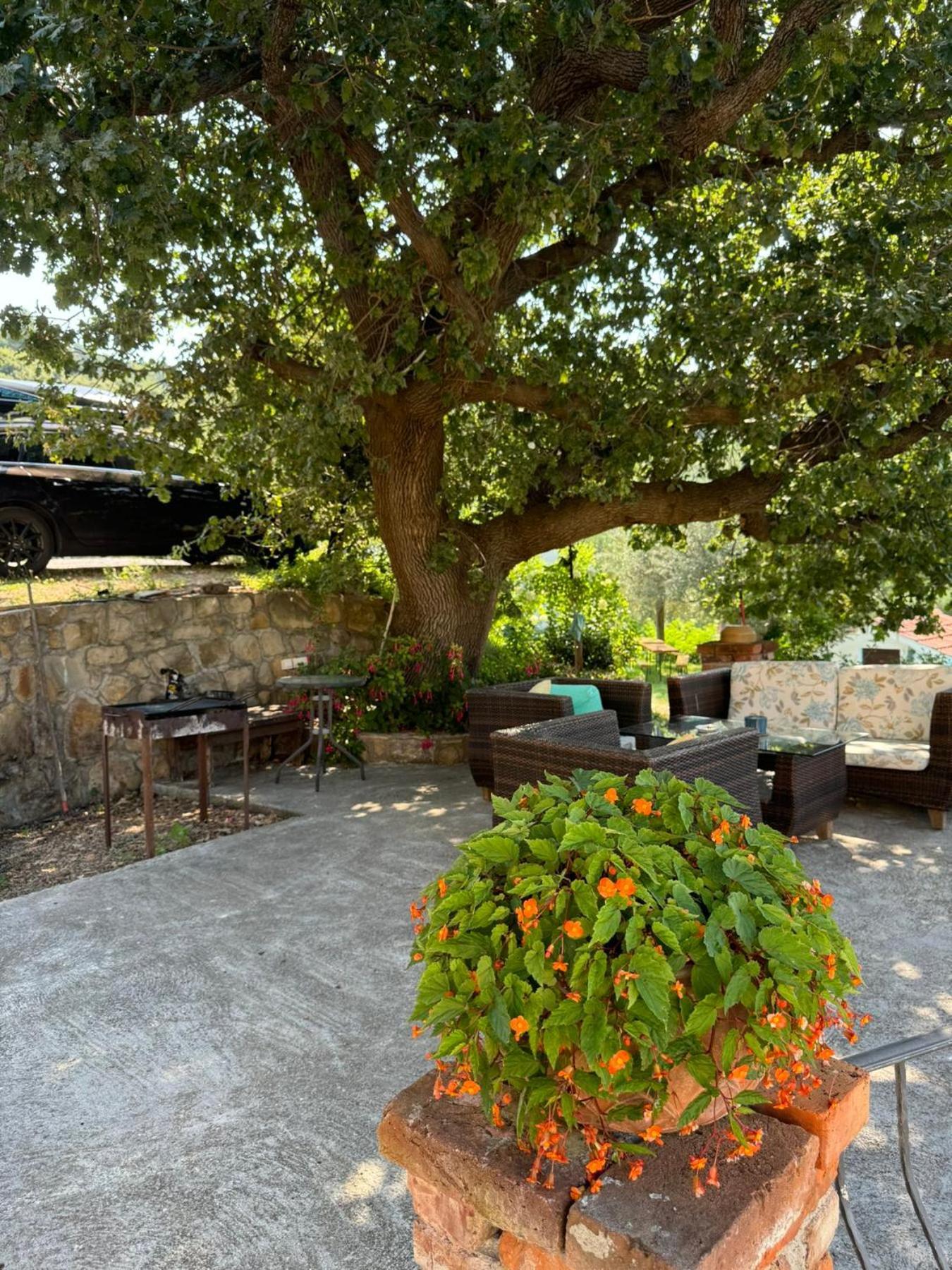 Apartments Dumicic Supetarska Draga Kültér fotó
